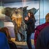 What's on at Lynn Museum - Lynn Museum - Norfolk Museums Service